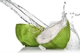 Tender Coconut Manufacturer Supplier Wholesale Exporter Importer Buyer Trader Retailer in Mumbai Maharashtra India